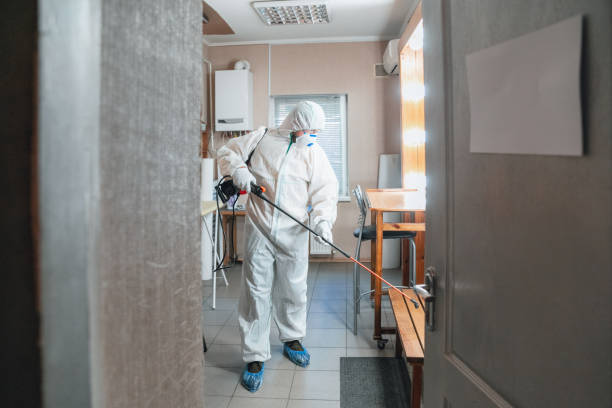 Best Mold Remediation for Vacation Homes  in Centerville, GA