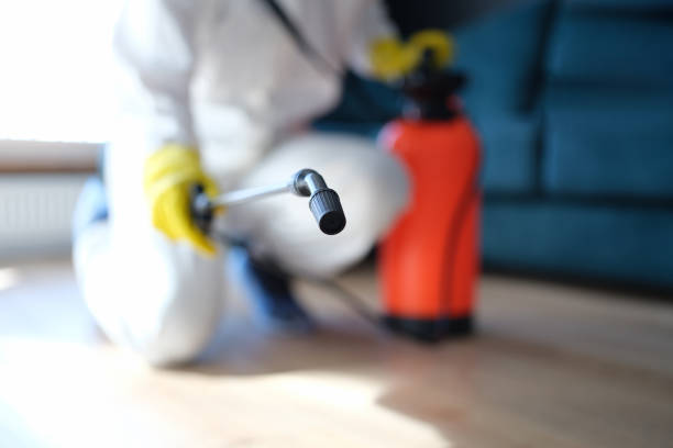 Best Mold Remediation for Healthcare Facilities  in Centerville, GA