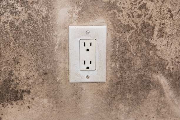 Mold Remediation for Vacation Homes in Centerville, GA